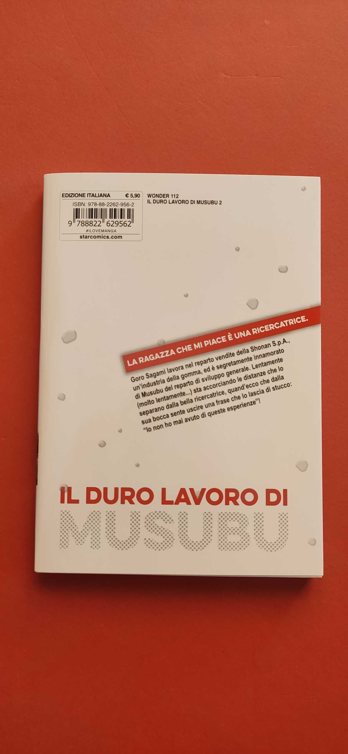 IL DURO LAVORO DI MUSUBU N° 2 DITAISHI MORI MANGA STAR COMICS Fumetti in Gondola
