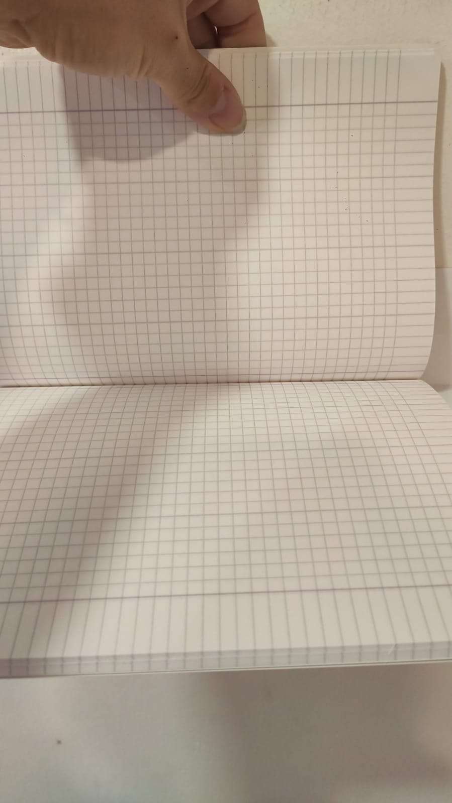 Immagine WhatsApp 2025-09-05 ore 16.58.31_1fac3cfe